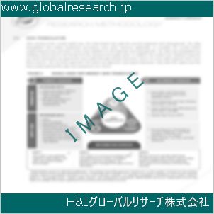 グローバルリサーチ調査資料のイメージ